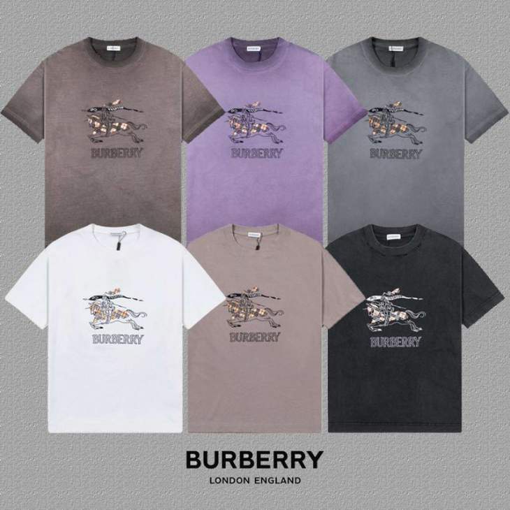 Picture of Burberry T Shirts Short _SKUBurberryS-2XLxetr18019753
